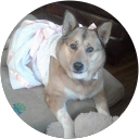 Stasia profile picture
